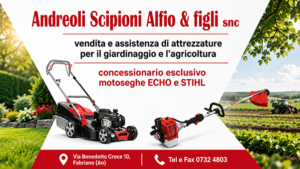 andrea scipioni