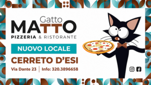 gatto matto
