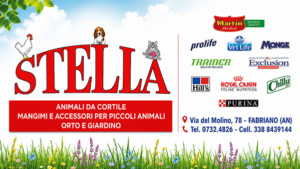 stella
